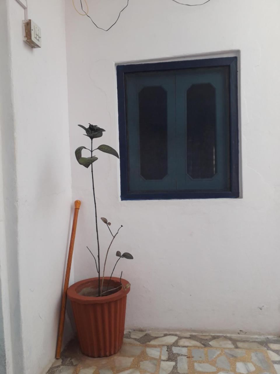 Rajguru Guest House Πουσκάρ Εξωτερικό φωτογραφία